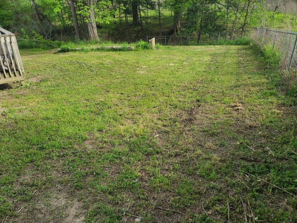 After: Clean yard with barrels removed and yard cleared