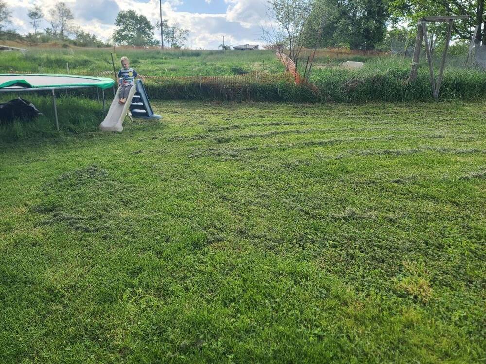 After: Freshly mowed lawn looking neat