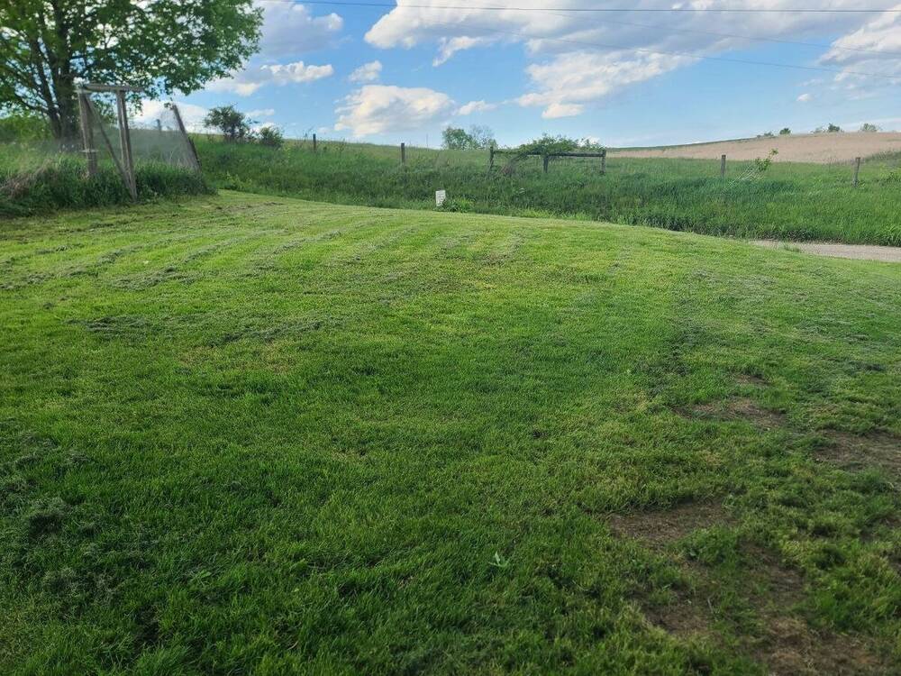 After: Wide view of completed yard cleanup